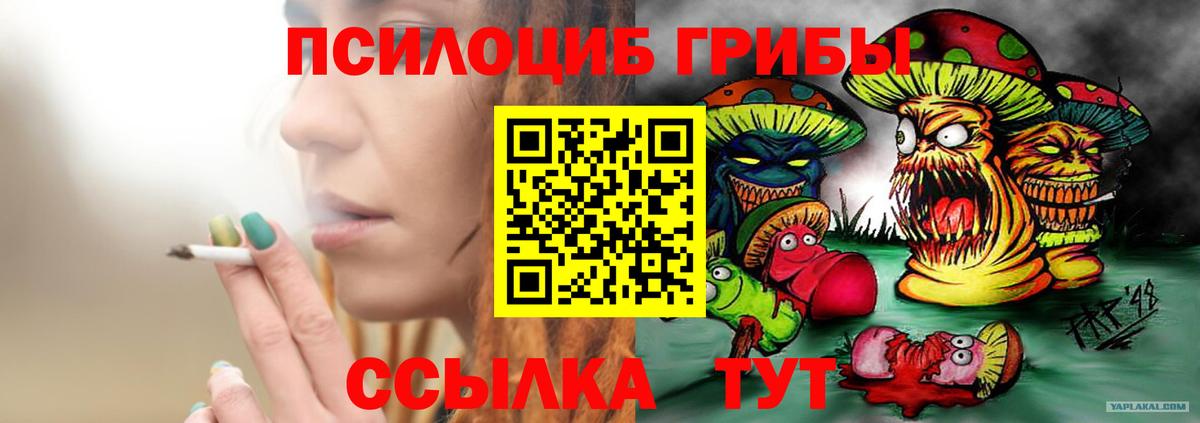 купить наркотики сайты  Псилоцибиновые грибы Magic Shrooms  Вход с VPN  Галлюциногенные грибы прущие грибы  Междуреченск 